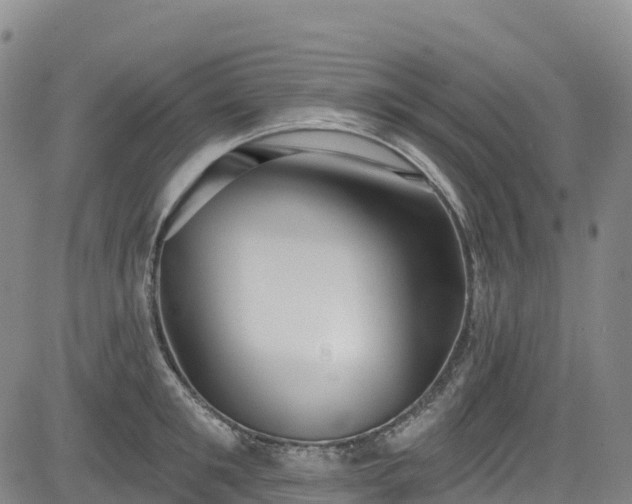 X0000085060901200703121522