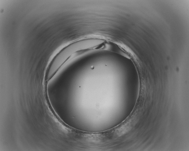 X0000085060902200703121522