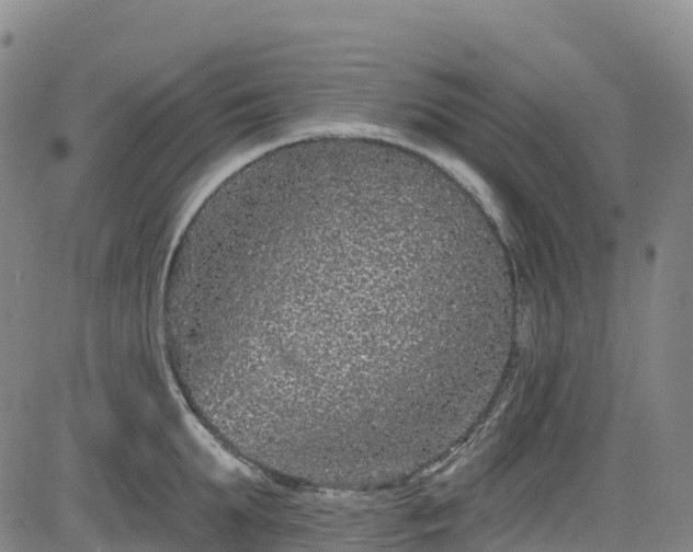 X0000085060903200703121522