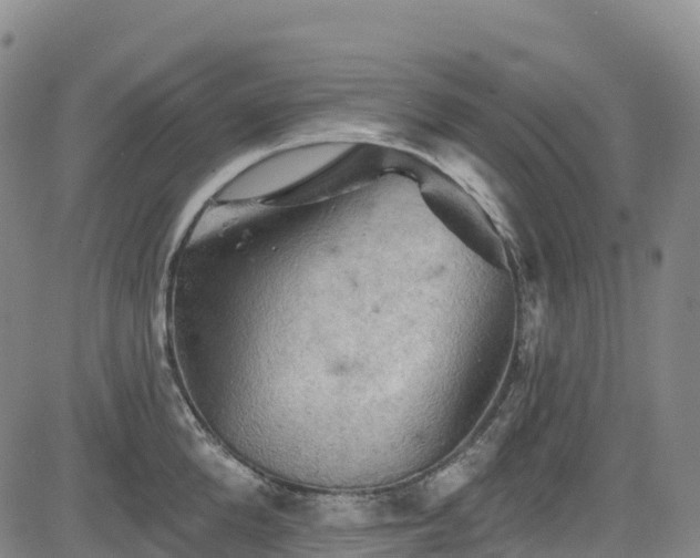 X0000085060904200703121522