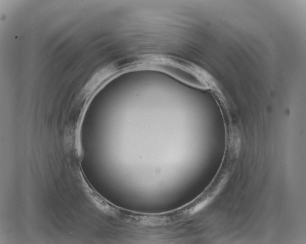 X0000085060905200703121522