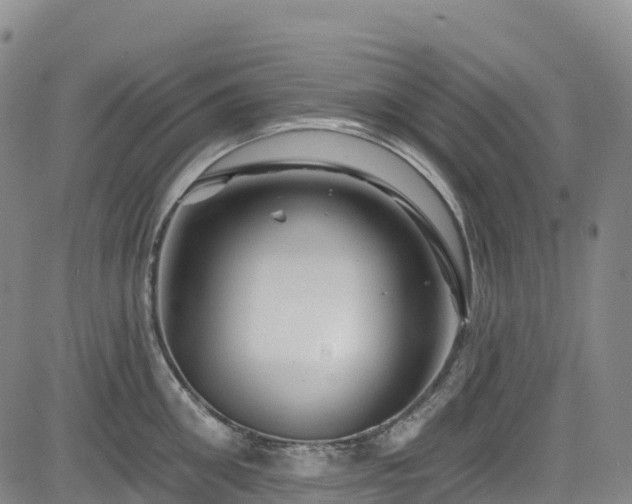 X0000085060906200703121522