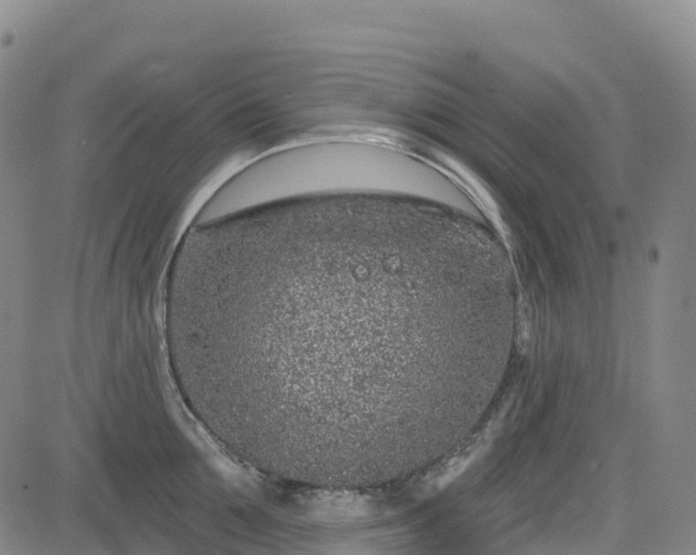 X0000085060907200703121522