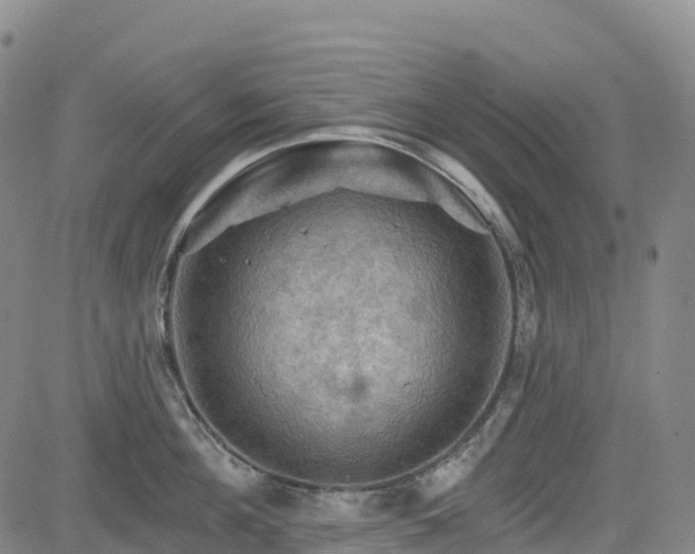 X0000085060908200703121522