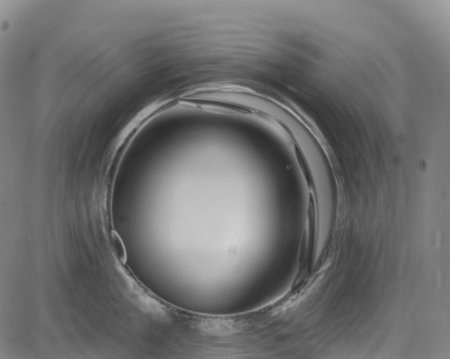 X0000085060909200703121522