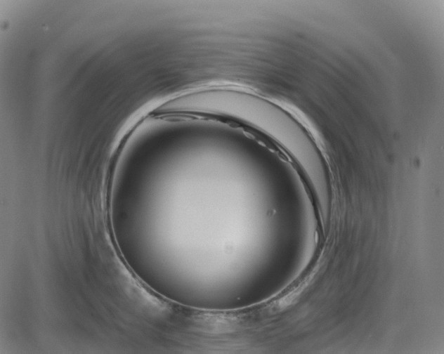 X0000085060910200703121522