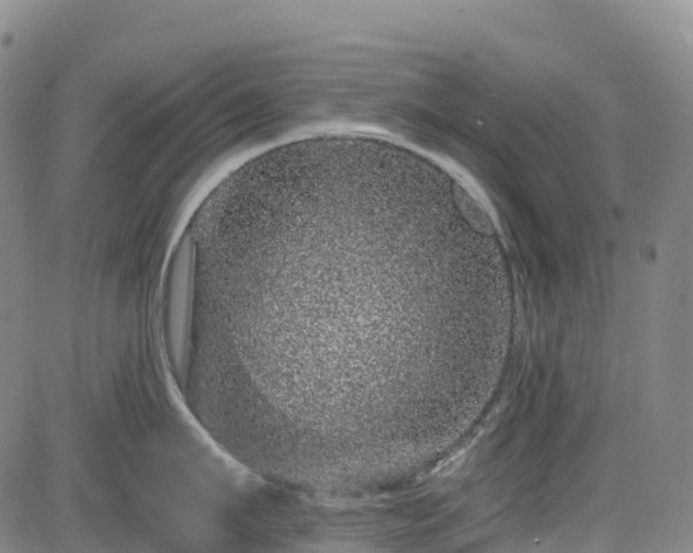 X0000085060911200703121522