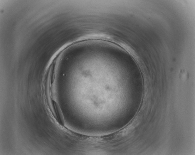 X0000085060912200703121522