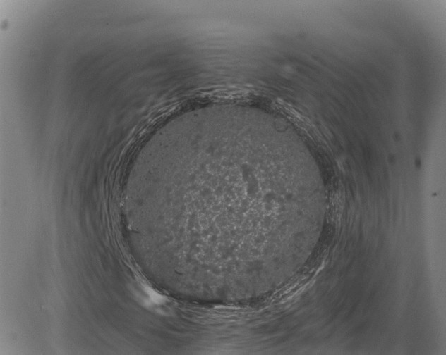 X0000085060913200703121521