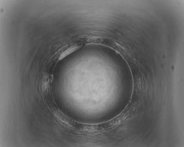 X0000085060914200703121521