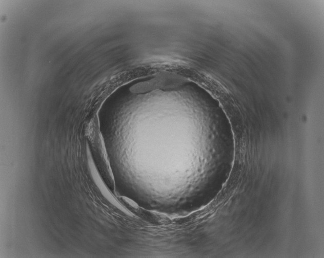 X0000085060917200703121521