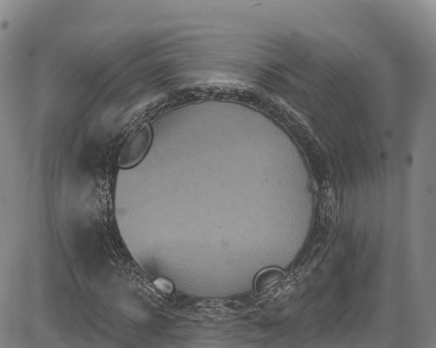 X0000085060918200703121521