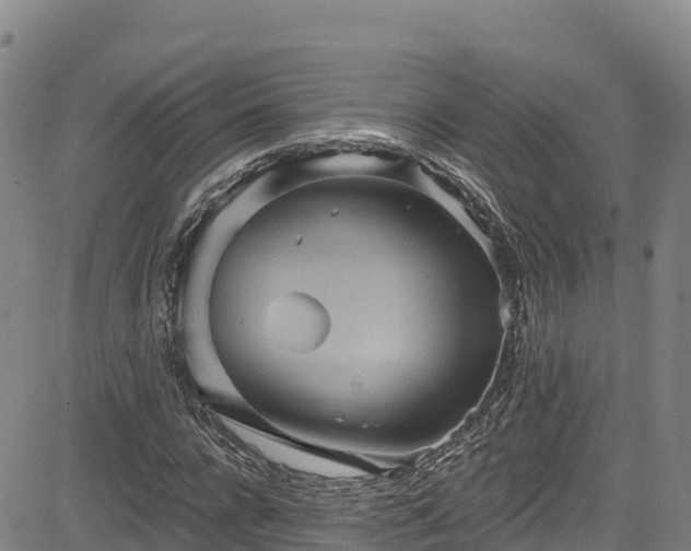 X0000085060920200703121521