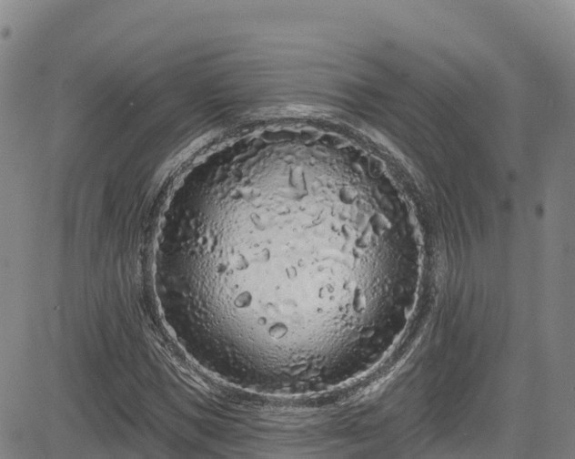 X0000085060921200703121521