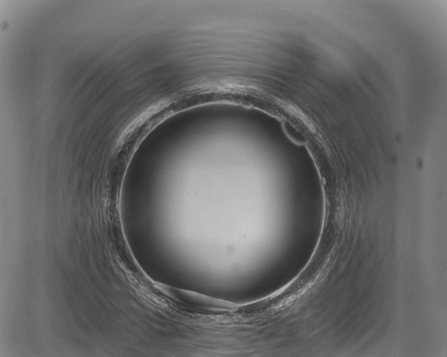 X0000085060922200703121521