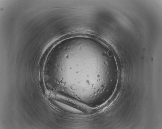 X0000085060925200703121521