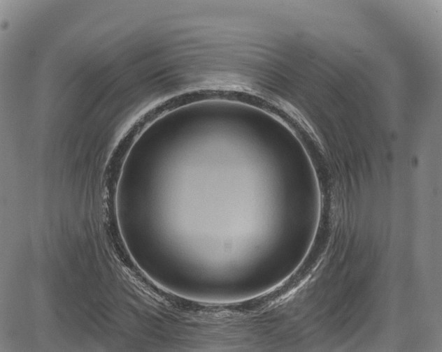 X0000085060926200703121521