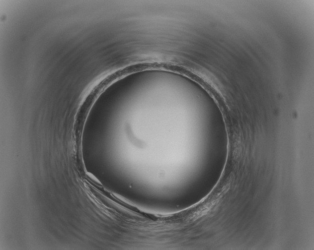 X0000085060927200703121521