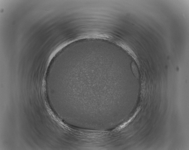 X0000085060928200703121521