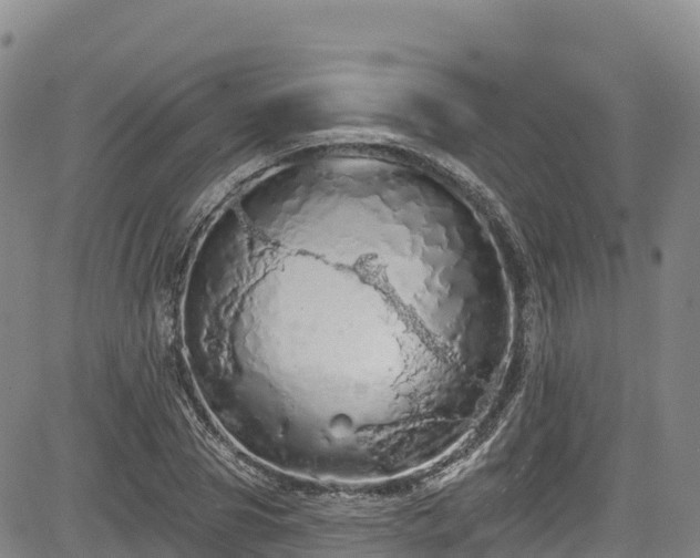 X0000085060929200703121521