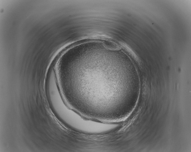 X0000085060932200703121521