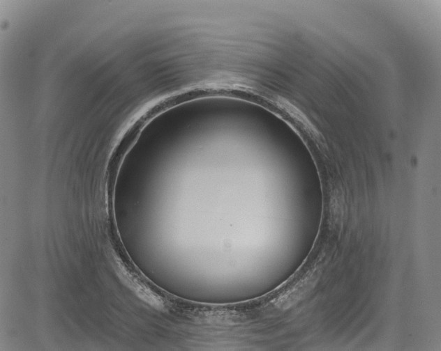 X0000085060934200703121521