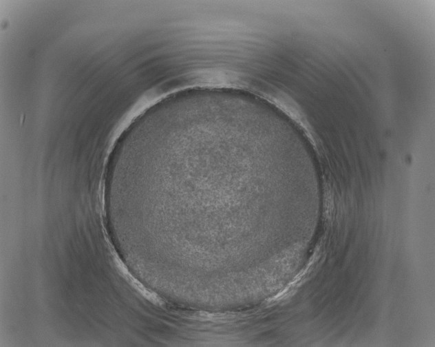 X0000085060935200703121521