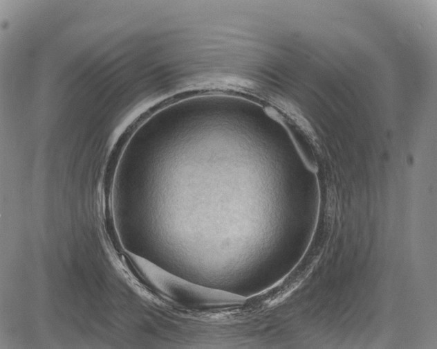 X0000085060936200703121521