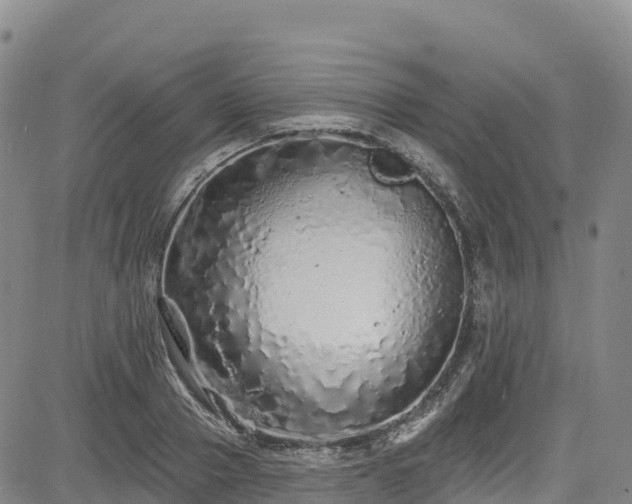 X0000085060937200703121521