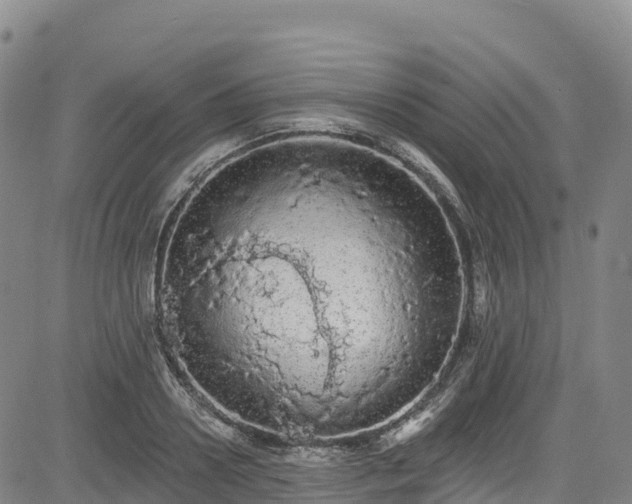 X0000085060938200703121521