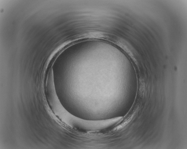 X0000085060939200703121521