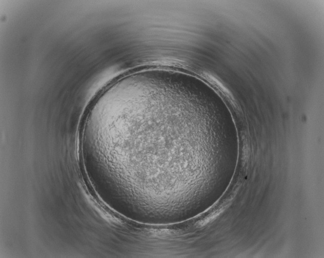 X0000085060940200703121521