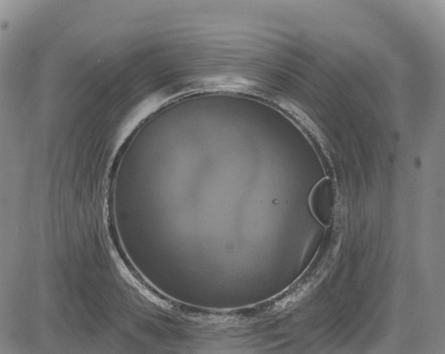 X0000085060941200703121521