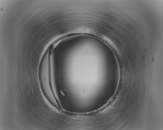 X0000085060942200703121521