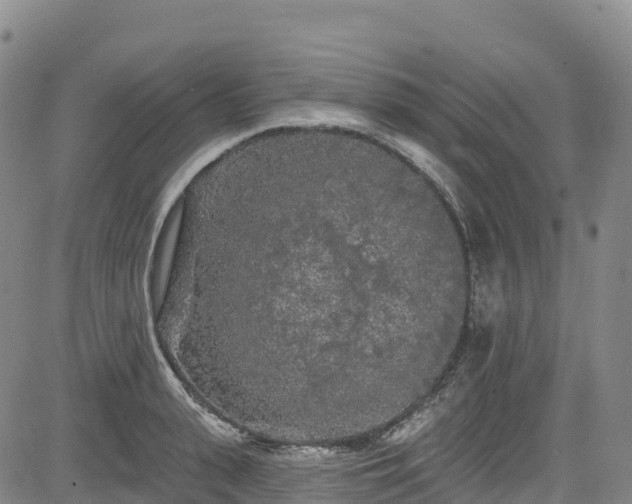 X0000085060943200703121521