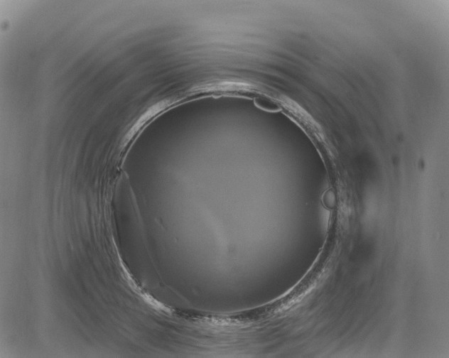 X0000085060945200703121521