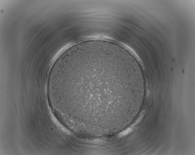 X0000085060946200703121521