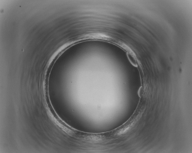 X0000085060947200703121521