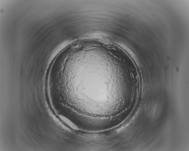 X0000085060949200703121521