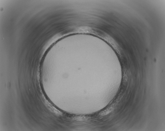 X0000085060950200703121521