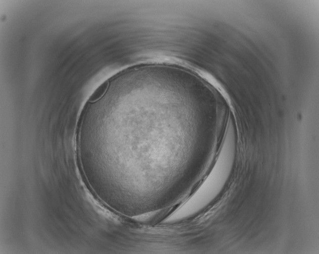 X0000085060951200703121521