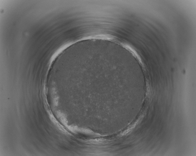 X0000085060952200703121521