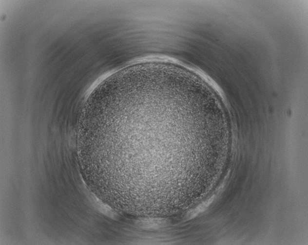 X0000085060953200703121521