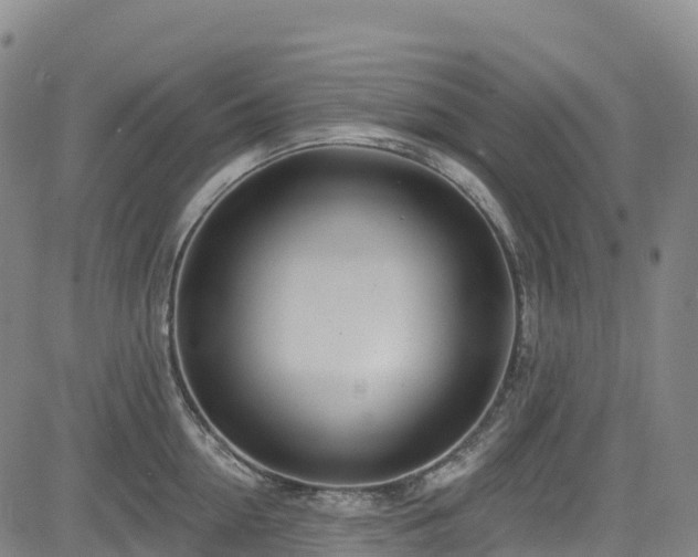 X0000085060954200703121521