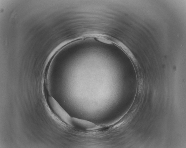 X0000085060955200703121521