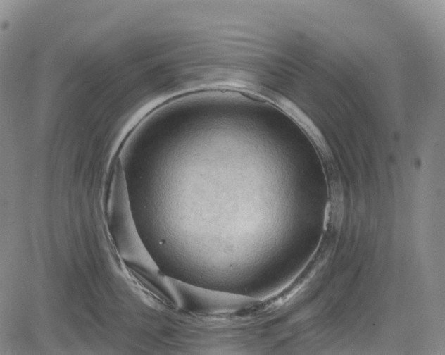 X0000085060956200703121521