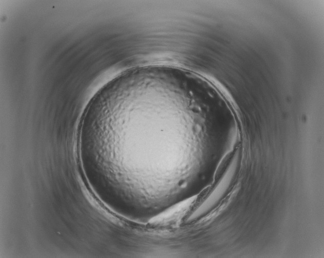 X0000085060957200703121521