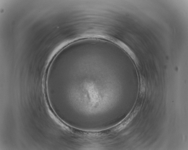 X0000085060958200703121521