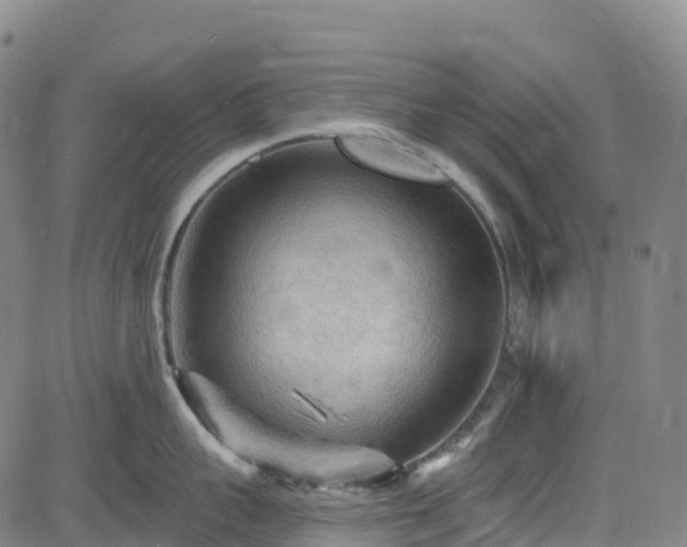 X0000085060959200703121522