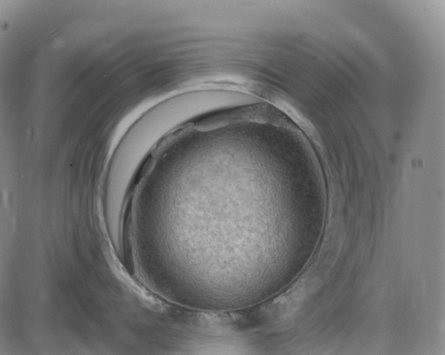 X0000085060960200703121522